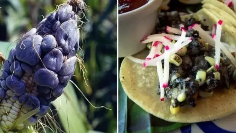 Ingredients Used in a Classic Huitlacoche Recipe