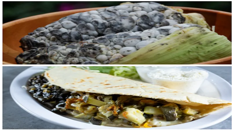 Huitlacoche Recipe Variations