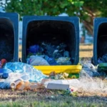 Why Skip Bin Hire on the Sunshine Coast Is Ideal for Residential and Commercial Clean Ups