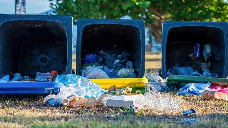 Why Skip Bin Hire on the Sunshine Coast Is Ideal for Residential and Commercial Clean Ups